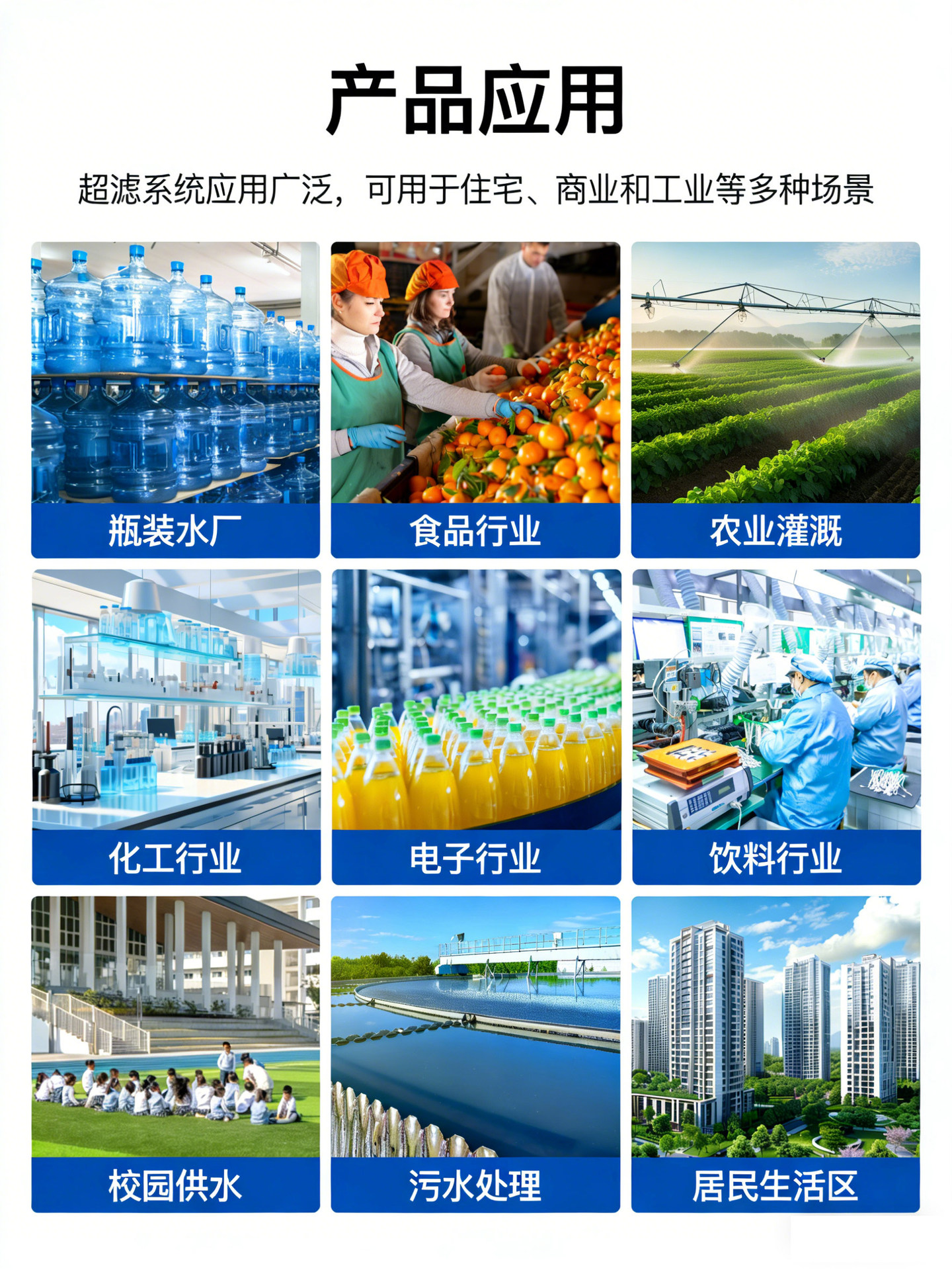 图片英文翻译为中文-(4)