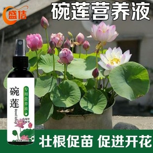 Special Nutrient Solution for Bowl Lotus, Water Lily Fertilizer, Universal Water-Soluble Fertilizer, Hydroponic Seed Germination, Rooting, Flower Promotion, Yellow Leaf Prevention