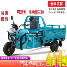新款電動三輪車電瓶車快遞車貨運家用/農用載重擺攤拉貨戰馬其他