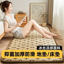 批发冰丝凉感地垫加厚记忆绵多功能床垫夏季爬行垫防滑榻榻米垫