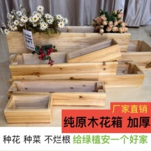 �������ͥԺ�L���η�����ľ���軨���̨�N�˶���Nֲ����ľ�҃�