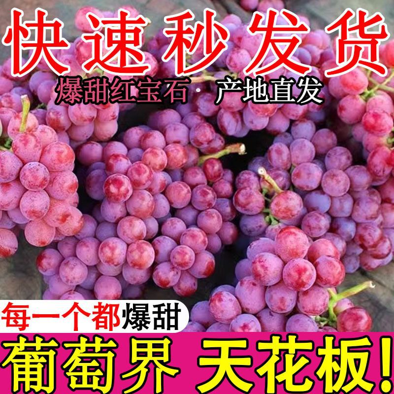 红宝石提子脆甜葡萄水果孕妇水果新疆产地水果整箱红提子孕妇