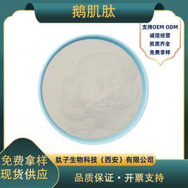 鹅肌肽 肽子生物 小分子肽 动物脊椎提取 安肌肽现货 100g/袋