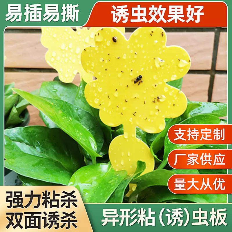 跨境异形粘虫板双面黄板沾虫板插地果蝇小黑飞蓟马果园黄色粘虫板