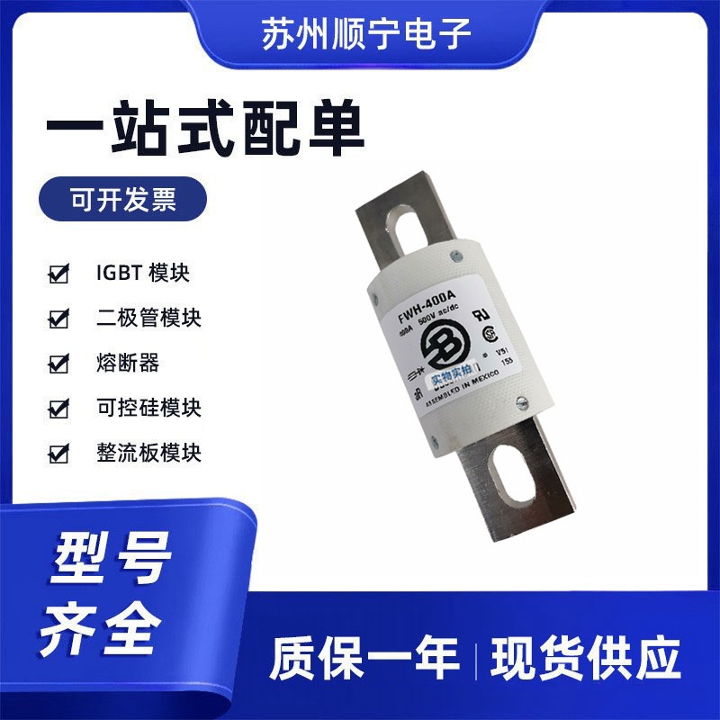 FWA-4000AH 巴斯曼 低压熔断器 全新原装型号齐全 现货速发