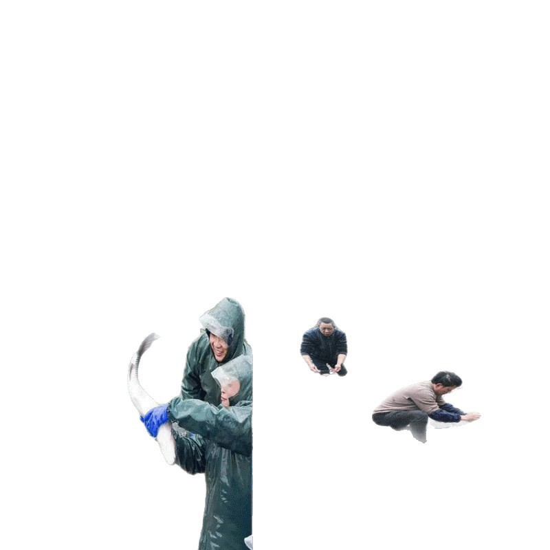 尼龙拉网鱼塘尼龙拖网清塘网柔软不伤鱼苗小虾围网隔断网抬网|undefined
