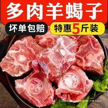 多食材骨头带批发生鲜脊骨羊蝎子新鲜肉羊羔羊冷冻商用肉羊新鲜肉