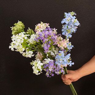 С����֦���㻨��ѩ�m���滨��c�b������������������仨�ٻ�