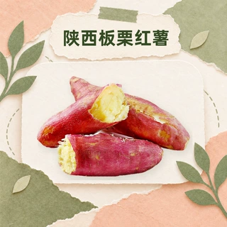 陕西板栗红薯 一件代发鲜蜜薯生地瓜烤红薯原料整箱批发新鲜蔬菜