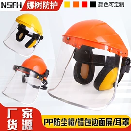 防护面罩;防冲击眼镜;其他眼部防护