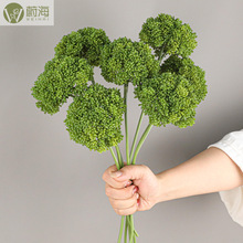 ������������m�� ���z�˻��� ����� ���ϼٻ��Ҿ�ܛ�b�廨���