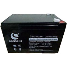 CONSENT��ʢ��늳�12V12AH GS12V12AH ���� �T�� ���� �����Դ