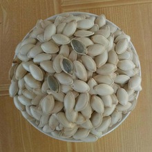 ��؛���Ϲ���ɢ�b���Ϲ������l���Ϲ��ӏS�����l���e�Թ���ʳ���l