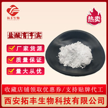 �}�������e 99% �����e��ȡ�� �����e�| ���Ա���ԭ�� 100g/��