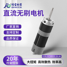 RB Motor42��ˢ���ٵ��һ��ʽ��ѹֱ�����������߾��Ȼ����˹ؽ�