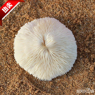 ��Ȼ��ɺ���A�κ��ջ��~���쾰�����b�Ʒ�[��ˮ������..