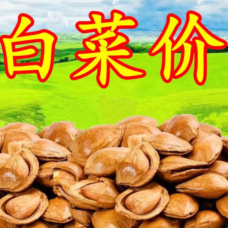 杏仁开口杏核薄壳大杏仁奶香味五香杏核手剥坚果零食干果批发|ru