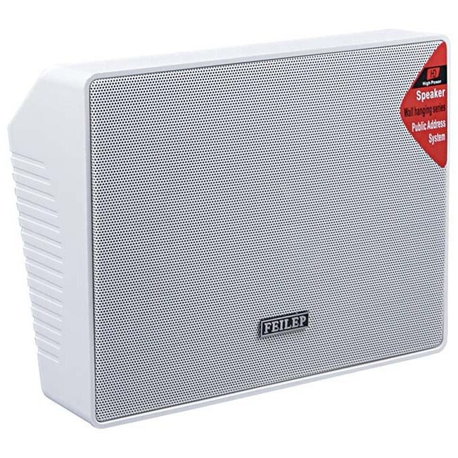 Public Address System Hivi Model Wall-Mounted Speakers Sound System Background Music School Store Sound Reinforcement