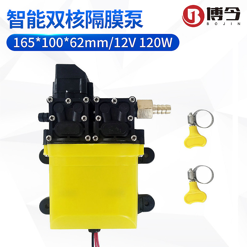 速卖通亚马逊ebay货源12V120W8L大流量智能双核隔膜泵带铜接头