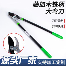 �S��ֱ�N�@ˇ�����h�ʼ���ƺ���޼���֦�G�h�����ߴ�֦�@�ִ����