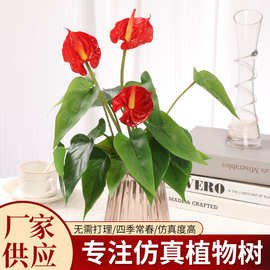 仿真花红掌假花绿植小型花卉家居装饰品塑料花客厅摆件厂家批发