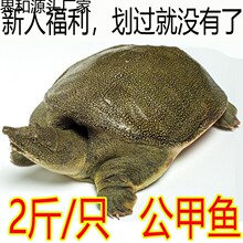 ���~�r����]ʳ���Bֳ�uζС���~��С���A�Mˮ�~�F�~�������S