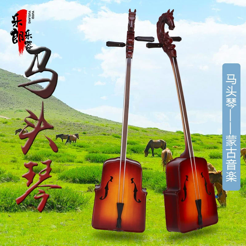 Musical instruments, professional practice with accessories, for beginners, full set