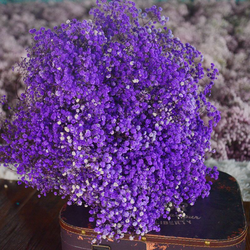 [Gymsophila] dried flower factory wholesale Valentine's Day gift eternal flower Gymsophila bouquet decorative diy flower