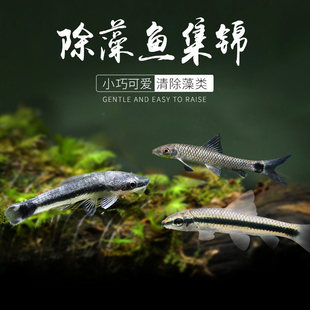 �坍�����~��������������������~���~��ȸ�~�ԼS�~ �M58���]