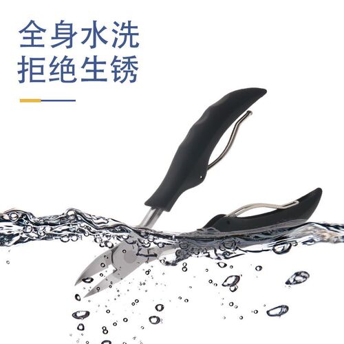 Manufacturer Stainless Steel Eagle Beak Nail Clipper Portable Onychomycosis Manicure Clipper Thick Hard Toenail Nail Clippers Manicure Tools