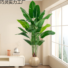 ����Gֲ�����B���滨�٘�ֲ������߶��p�ݿ͏d��ؔ[���쾰����