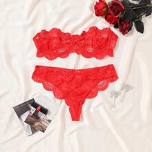 J 49108 Lace Transparent Underwear Set ��˿͸������ �羳