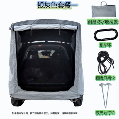 Canopy Camping Simple Rv — Avtomobil dam çadırları - silver-gray-package-one-plus-wind-rope-and-ground-nails-default-item