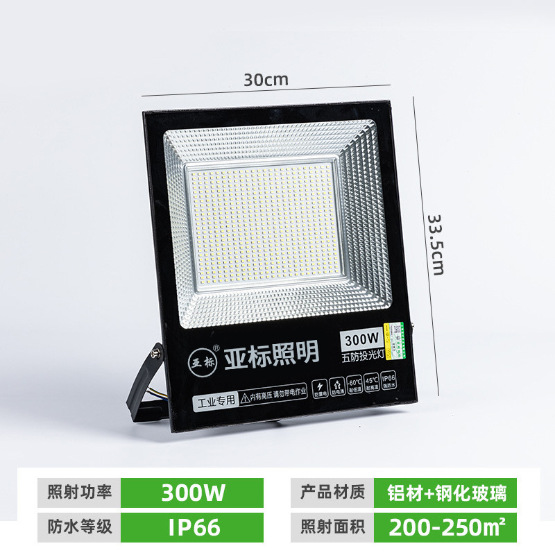 300w - substandard floodlight - not rechargeable, not solar powered