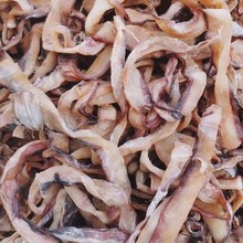 ~~ll؛߅ܽ[ؔ؛Դl~z