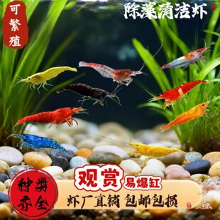 �߲��^�p���r����O���r�ښ��r���B�ͻ����ֵ�ˮ��ˮ�����坍�r