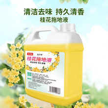 �ϵ��坍�������坍Һ���õذ�ɴu�Ƶ��坍��ȥ��ζ�����l���l