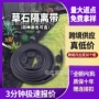 加厚园林新款绿化草