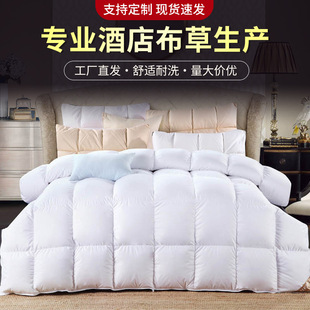 Super Five-Star Hotel down Quilt Core Cotton Thickeneded Warm White Duck down Winter Quilt Manufacturer Supplies Wholesale