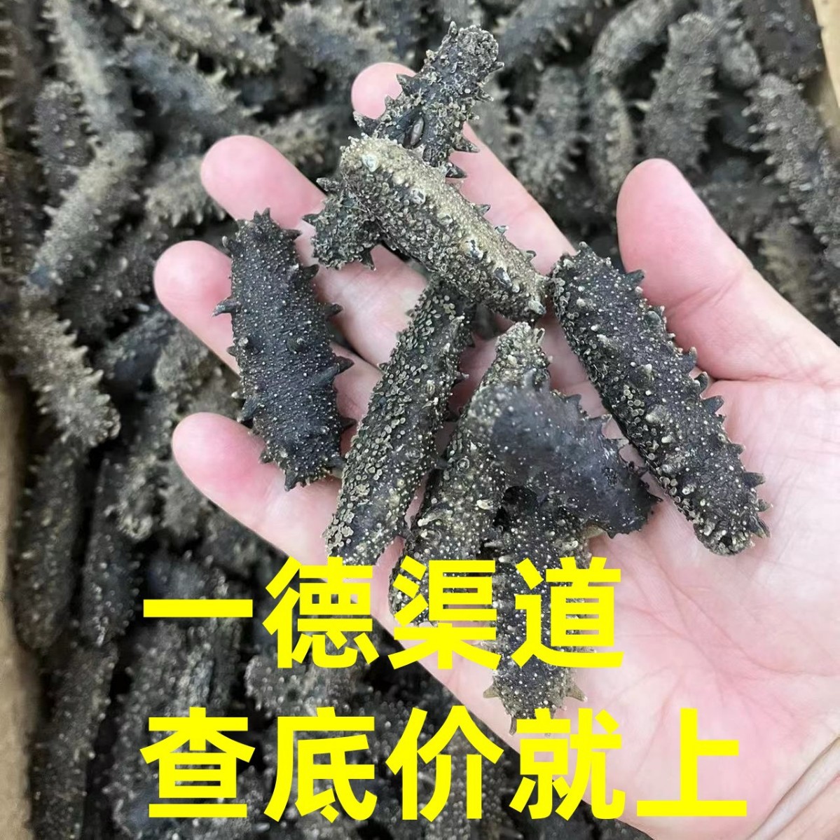 厂家批发海味干货海参40-60头大连淡干辽参养生营养滋补品
