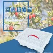 �S��ֱ�N���ϗ�÷ɰ�ǽ۽�ۙ������۲�ݮˮ����YƷ�@