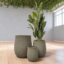 ͹ʽټyͥ@ˇhV׻ƿb[