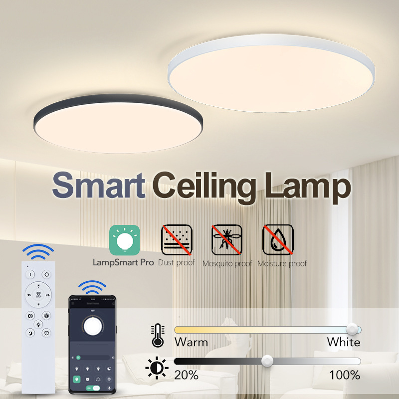 LED ceiling light for living room