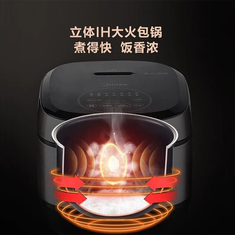 Electromagnetic universal rice cooker, 40, P501, P501
