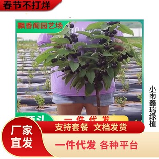 ������̫ƽ��t������� �Ի��ڷ�̫ƽ��t������ �����̻���ϵ