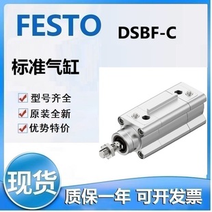 Festo Festo Dsbf-C-40-110-Ppsa-N3-R 40-300-Ppsa-N3-R Standard Cylinder