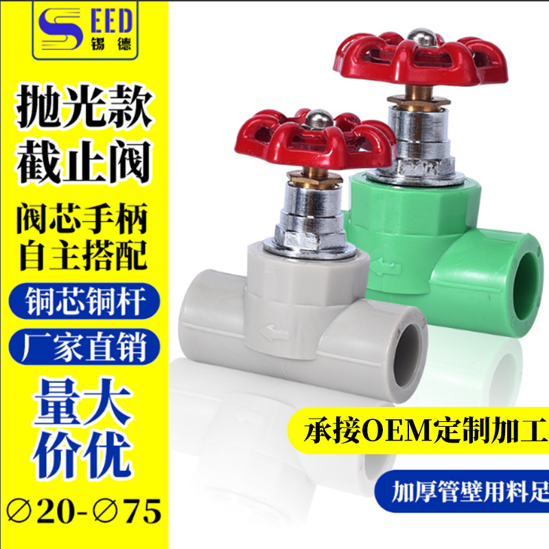 ppr截止阀水管开关4分20 25 32升降式PE阀门加厚铜芯止水阀门配件