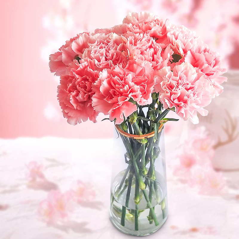 玫瑰花鲜花云南昆地批直发百合向日葵红豆家用鲜切水养插绢花|undefined