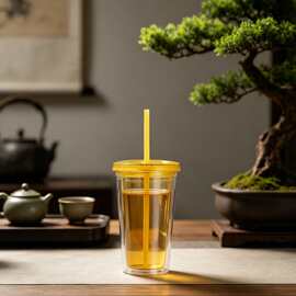 夏季必备双层塑料吸管杯奶茶杯大容量冰饮杯办公随行杯可循环使用