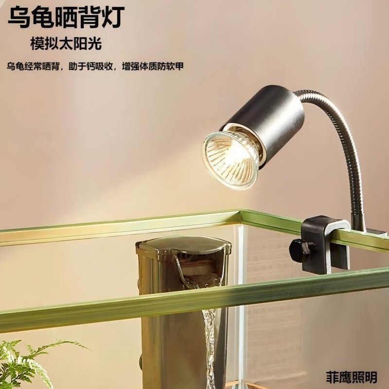 Source Factory Turtle Lizard Climbing Pet Basking Lamp Pet Calcium Supplement Automatic Timing Uva Heating Heating Clip Lamp